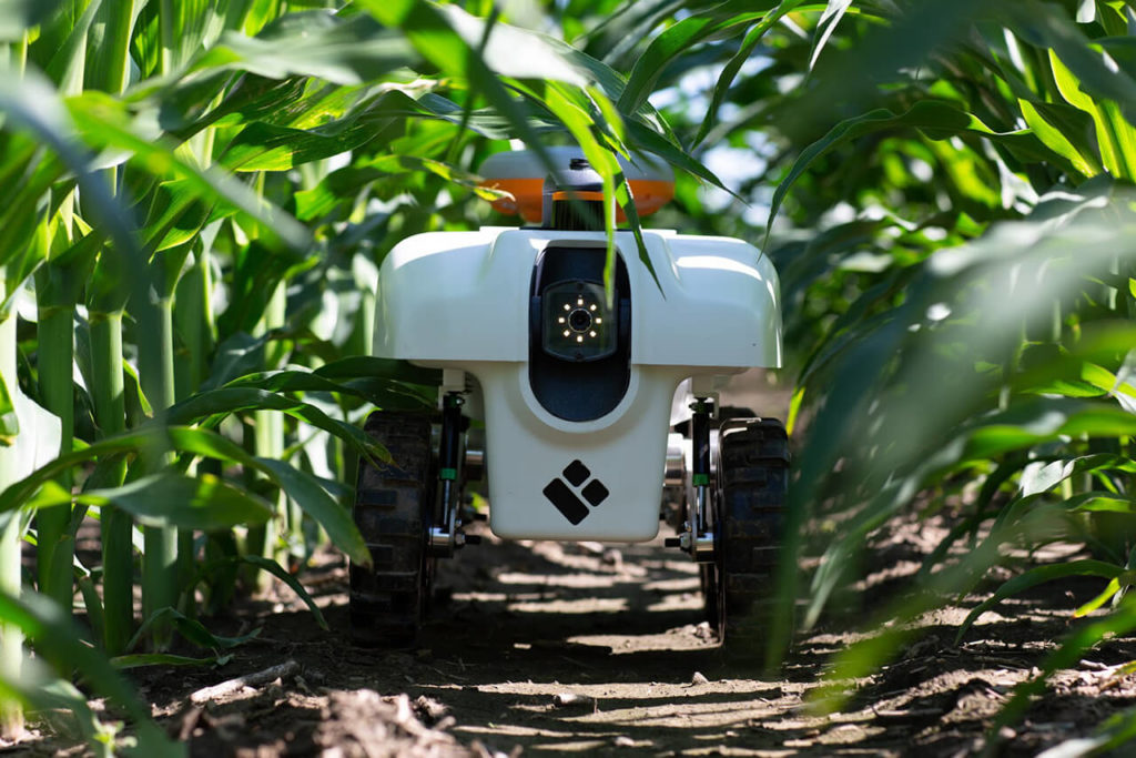  AI Agriculture and Farming
